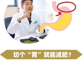 切个”胃“就能减肥？